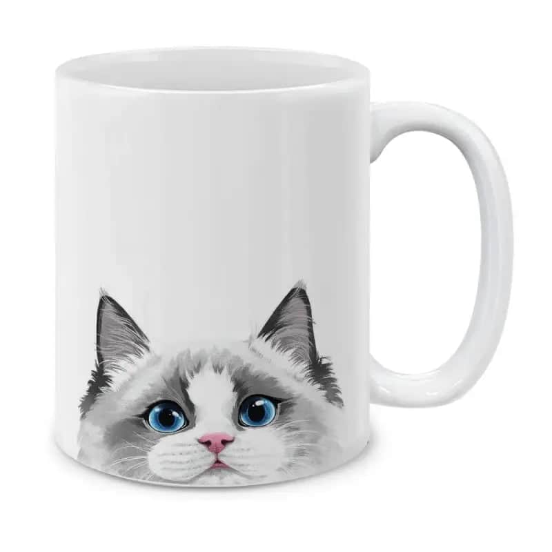 Kedi̇ Kupasi <Br>Cuckoo