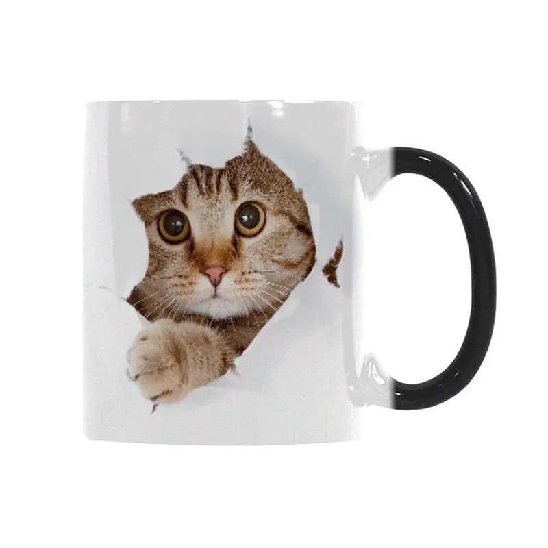 Kedi̇ Kupasi <Br>Büyülü