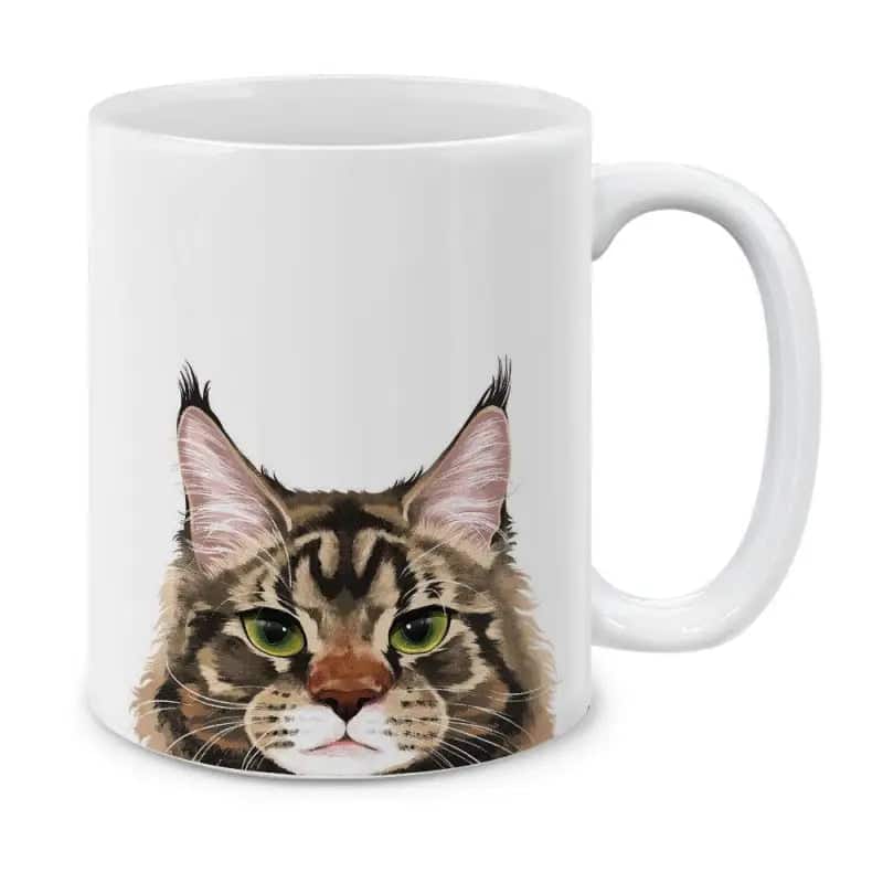 Kedi̇ Kupasi <Br>Maine Coon
