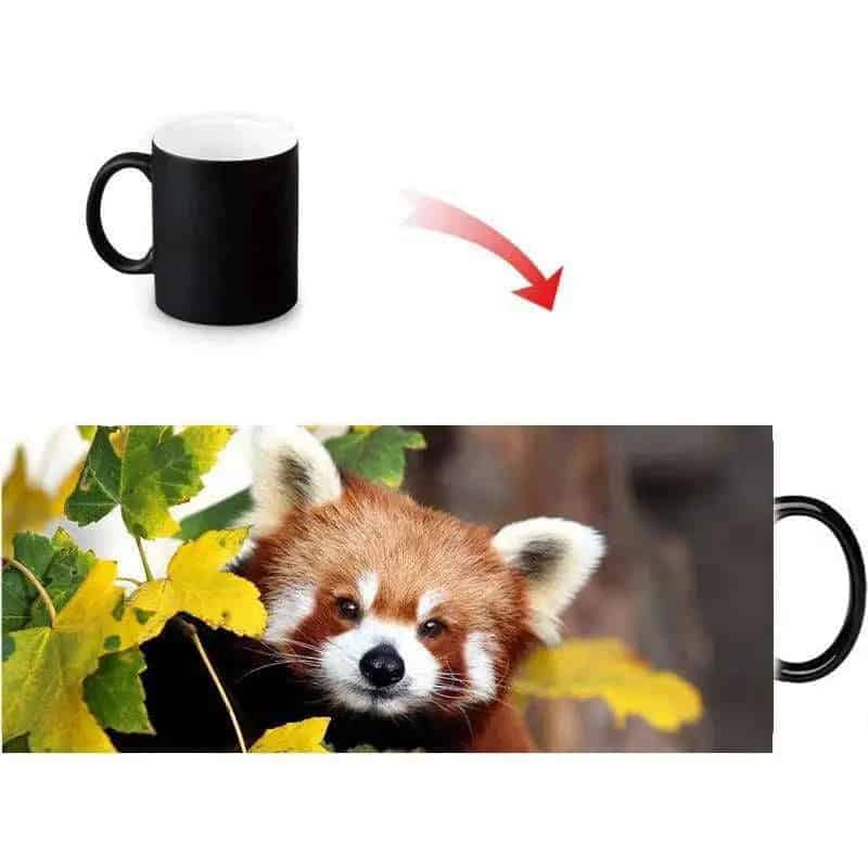 Panda Kupa <Br>Kırmızı
