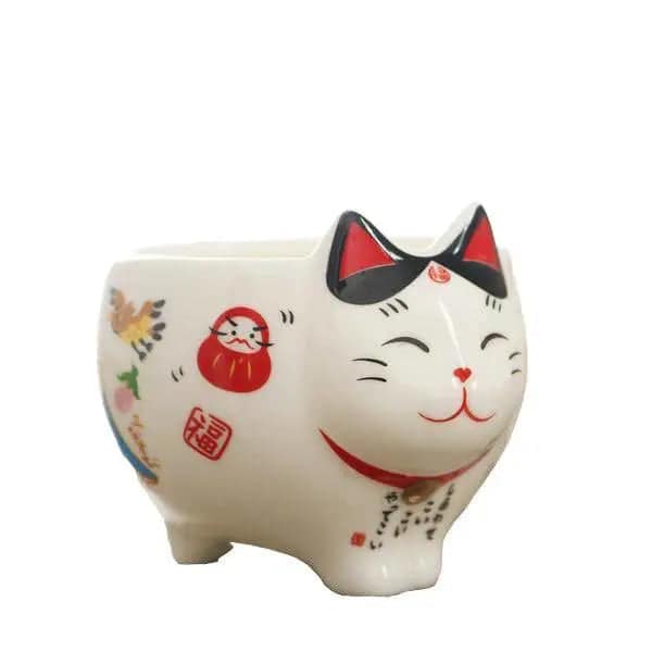 Japon Fincanı <Br> Kedi