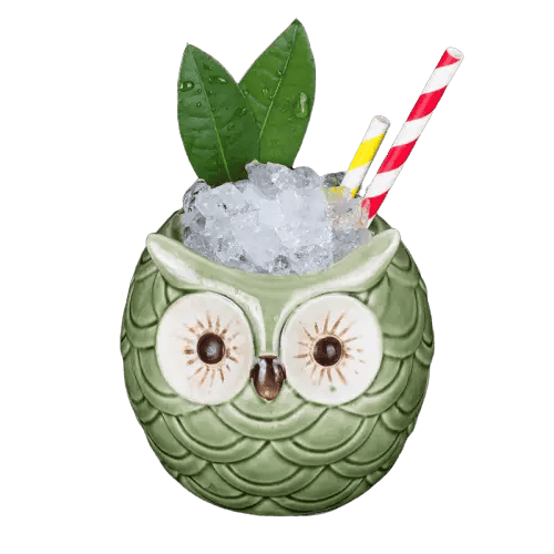 Tiki Cam <Br>Hibou